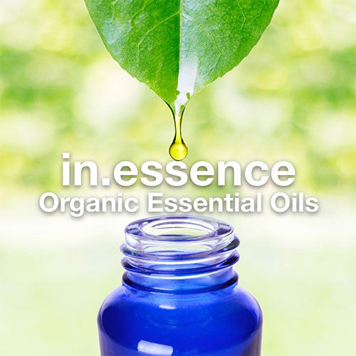 in.essence: Coming soon! Add in ZING with these organic essential oils.